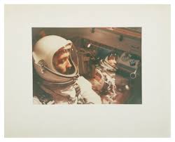 Attēlu rezultāti vaicājumam “Didymium minus young”