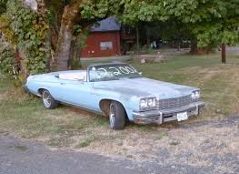 Image result for Horizon Blue 1975 Buick