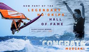 Image result for Aloha Sailboards