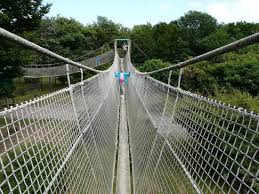Image result for PONT DE SINGE