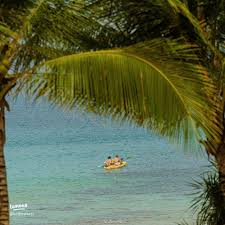 「花咲めぐみ ぼくのなつやすみ3」の画像検索結果