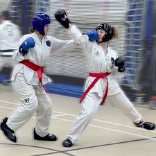Image result for Bytomic Tae Kwon Do London North