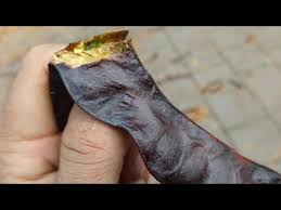 Attēlu rezultāti vaicājumam “Gleditsia triacanthos fruit”