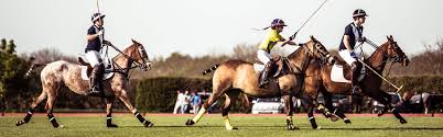 Image result for Kirtlington Park Polo Club