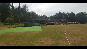 Image result for Welwyn Garden City Cricket Club