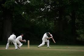Image result for Henfield Cricket Club