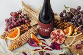 Image result for selvatici tehron