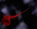 NASA - NASA Astronomers Find Bizarre Planet-Mass Object Orbiting ...