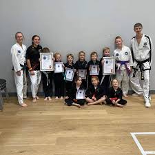 Image result for Torbay Taekwondo Schools