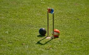 Image result for Newport Croquet Club