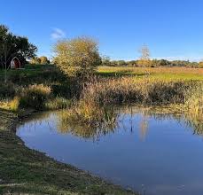 Image result for Metheringham Bowls Club