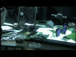 Image result for スガ シカオ