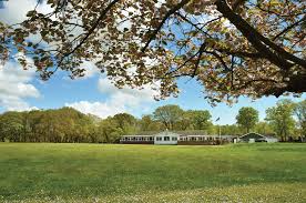 Image result for Brokenhurst Manor Golf Club