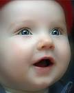 http://t0.gstatic.com/images?q=tbn:ANd9GcTLhvtUqVYSzP9Htm43N47pq7FEFXg7lK4MvO1D0A8I3oS4G77dBfdo1IQ