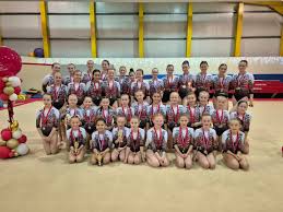 Image result for Appley Bridge Gymnastics Club