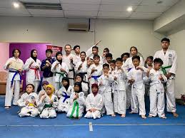 Image result for Synergy Tae Kwon Do