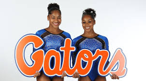 Image result for Blakey Gymnastics Club