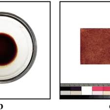 Attēlu rezultāti vaicājumam “Macrosiphoniella absinthii”