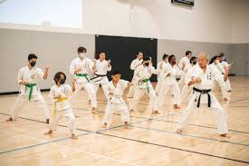 Image result for Imi Jishin Ryou karate do
