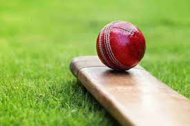Image result for Adwick-On-Dearne Cricket Club