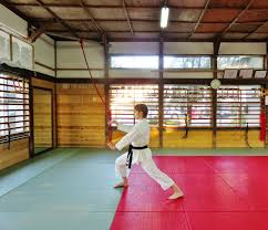 Image result for enpi dojo