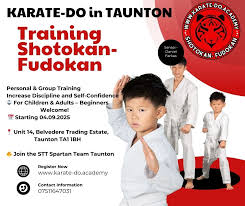 Image result for Taunton Karate academy