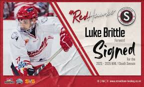 Image result for Streatham Night Wolves Ice Hockey Team