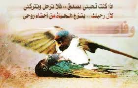 ابوذيات مع صور معبره  Images?q=tbn:ANd9GcTLl-Bz34pRBFLp9bUlhzLftjOByPxv4GSZcPEHZiruoGPdPM7Obg