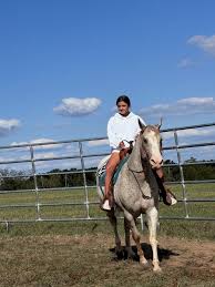 Image result for horse girl gun