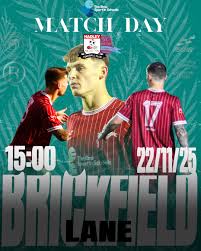 Image result for Welwyn Garden City Panshanger Football Club