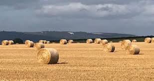 Image result for Sessay Village Bowling Club