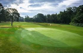 Image result for Braintree Cricket Club