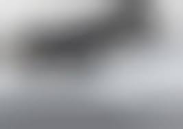 Image result for zpc-gx31