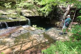 Image result for Dearne Valley Devils