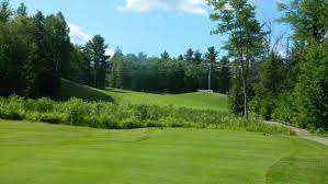 Image result for Wilton Golf Club