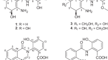Attēlu rezultāti vaicājumam “Didymium xanthopus spores”