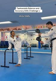 Image result for Taekwondo Witney