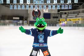 Image result for Coventry Dragons