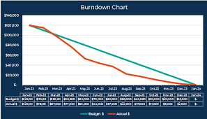 Image result for burnup chart