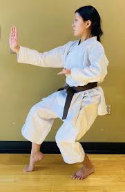 Image result for Shitokai Karate Club