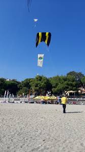 Image result for One Sky One World UK