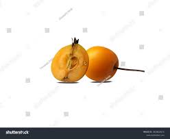 Attēlu rezultāti vaicājumam “Malus mandshurica”