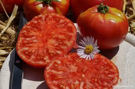 Afbeeldingsresultaat voor caspian pink tomato