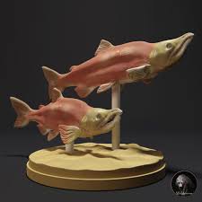 Image result for Oncorhynchus nerka