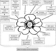 Attēlu rezultāti vaicājumam “Euphydrias aurinia underside”