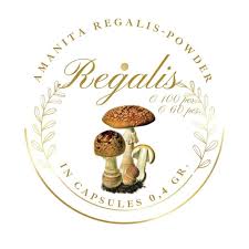 Attēlu rezultāti vaicājumam “Amanita regalis”