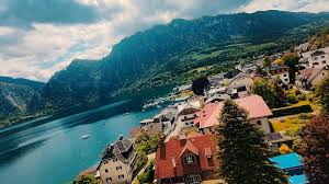 Image result for Teamsheep