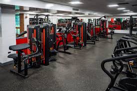 Image result for York University Aerobics Club