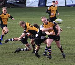 Image result for Sutton & Epsom Rugby Football Club