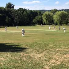 Image result for Abinger Sports Club
